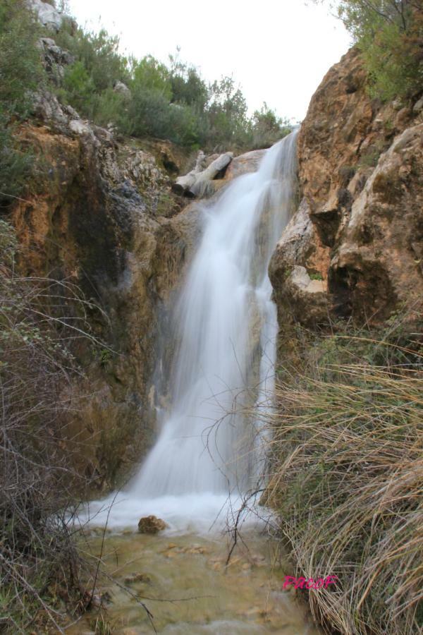 Alojamiento Aguasblanquillas Coto Rios Exterior photo