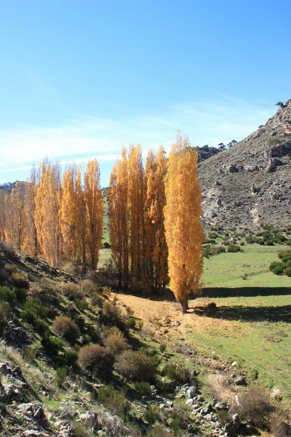 Alojamiento Aguasblanquillas Villa Coto Rios Exterior photo