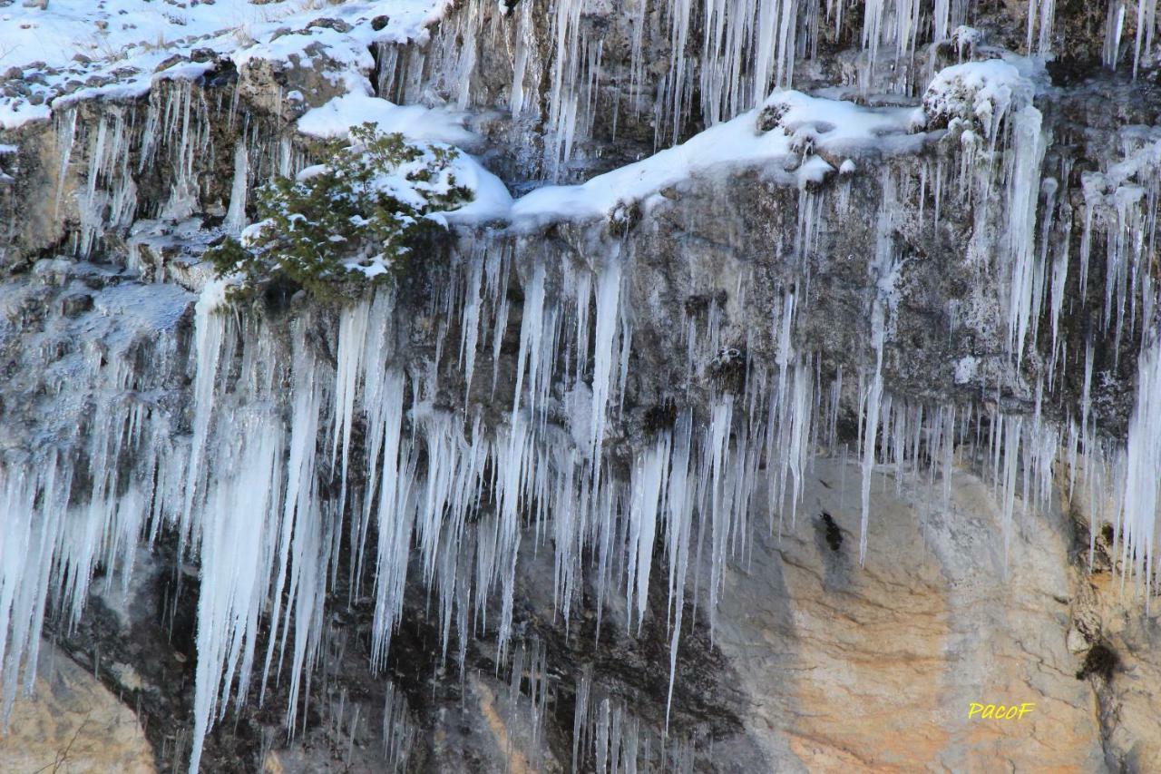 Alojamiento Aguasblanquillas Coto Rios Exterior photo